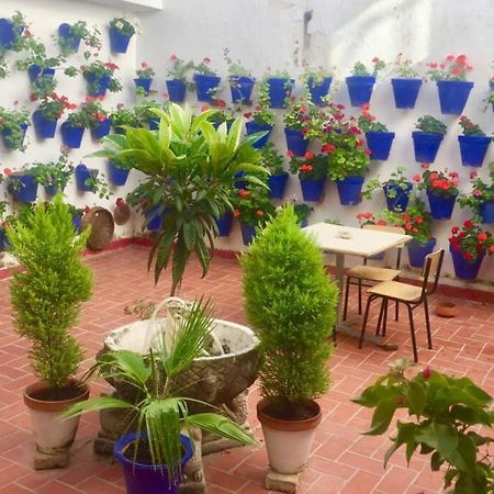 Apartamento Toril-Casco Historico Córdoba Buitenkant foto