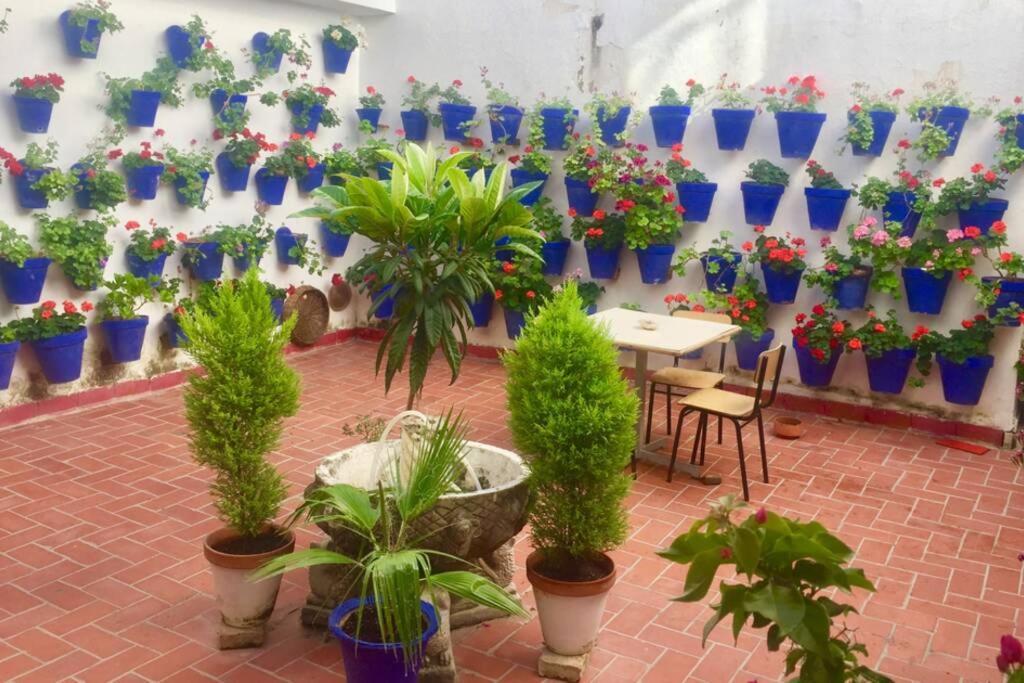 Apartamento Toril-Casco Historico Córdoba Buitenkant foto