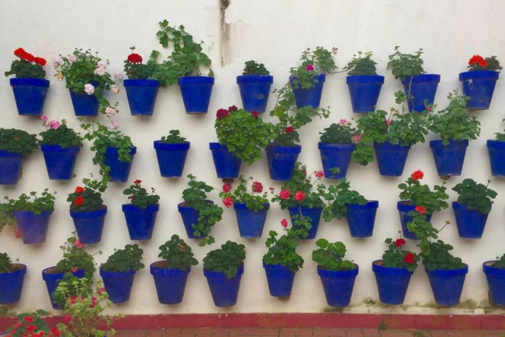 Apartamento Toril-Casco Historico Córdoba Buitenkant foto